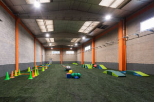 Gidican - Gimnàs caní