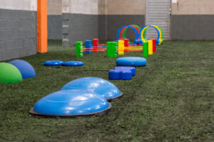 Gidican - Gimnàs caní