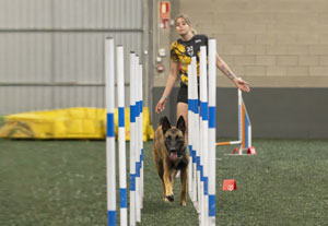 Agility del gimnàs caní Dami - Gidican de Banyoles