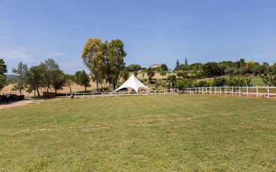 Alis-exterior-9040_OK