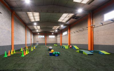 Gidican - Gimnàs caní