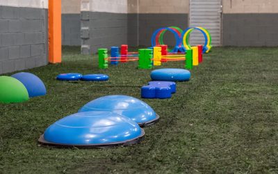 Gidican - Gimnàs caní