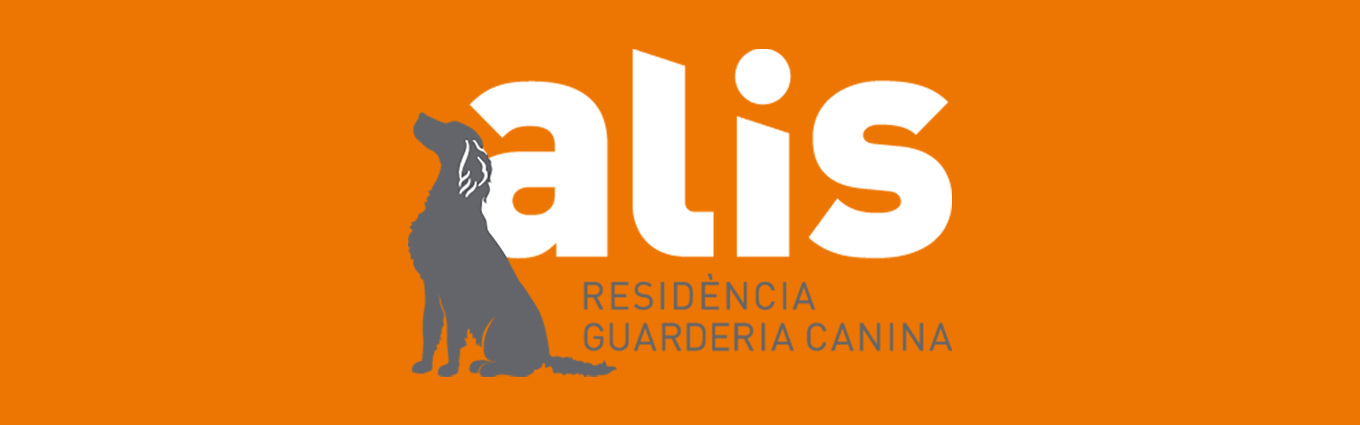 Capçalera Alis - Residencia Guarderia Caninca
